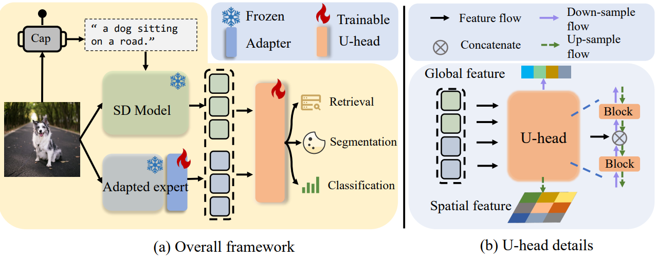 (a) Overall framework: a frozen Stable Diffusion model and an adapted expert provide features, a trainable U-head fuses them for retrieval, segmentation and classification. (b) U-head details.